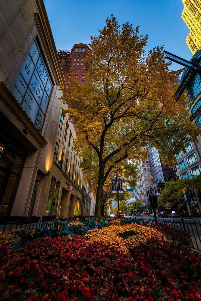 Michigan & Superior Photography Art | John Lazo Photography