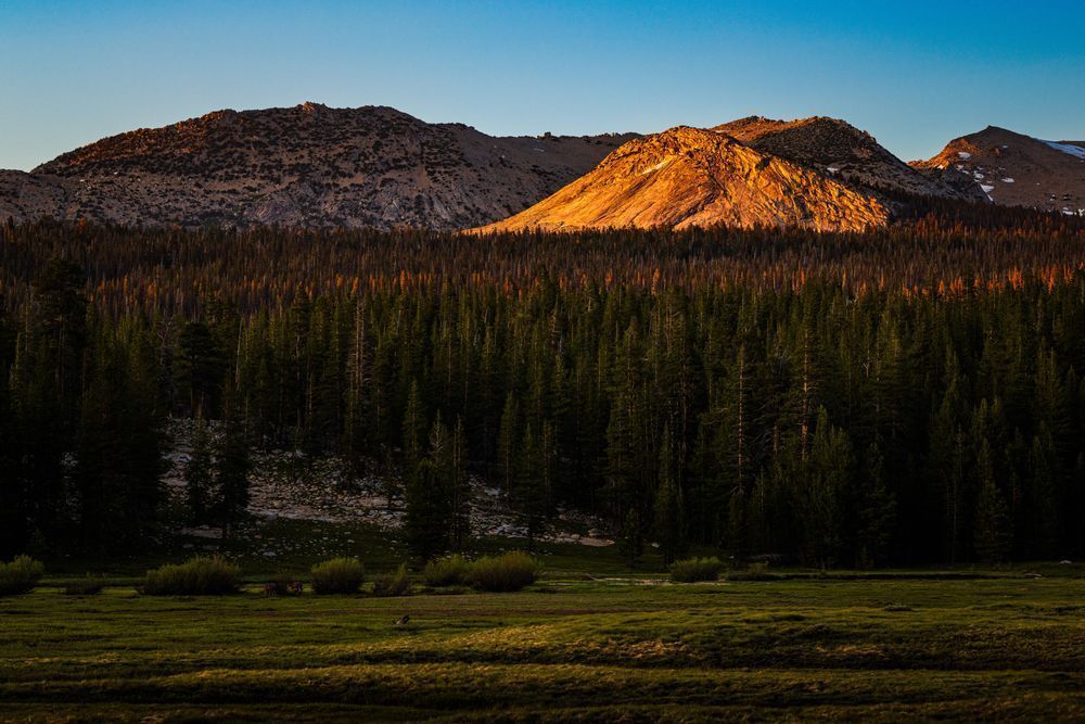 Tuolumne Meadow Vibrant Sunset Photography Art | John Lazo Photography