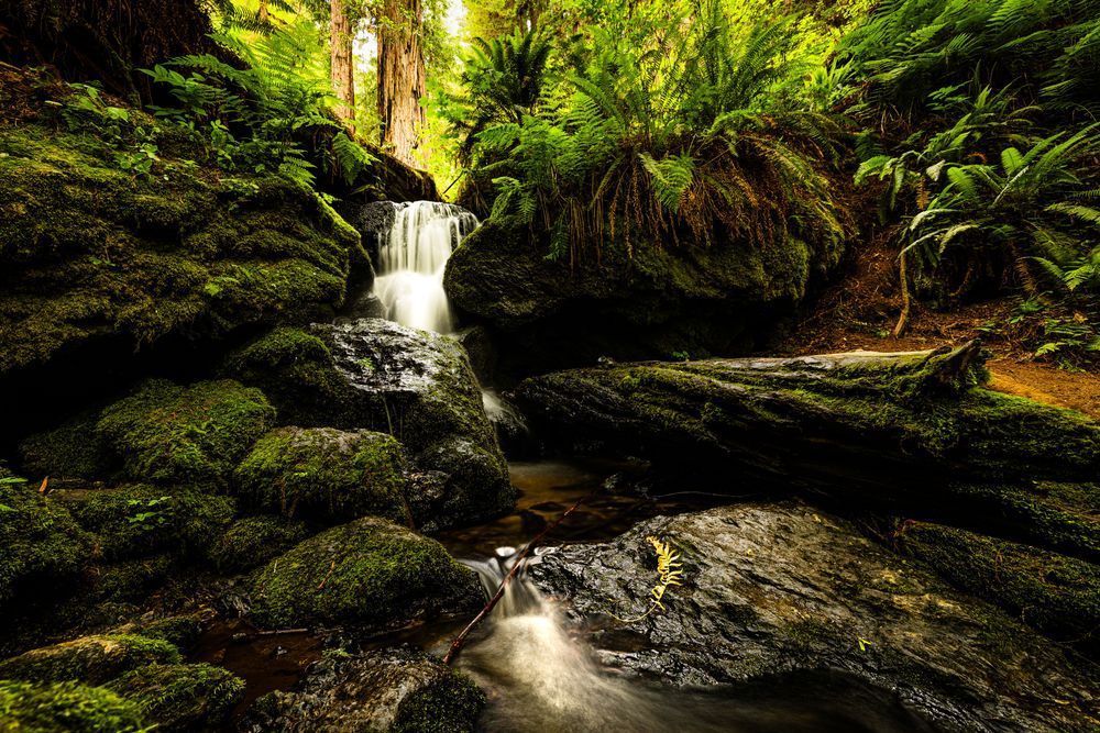 Trillium Falls Portrait Photography Art | John Lazo Photography