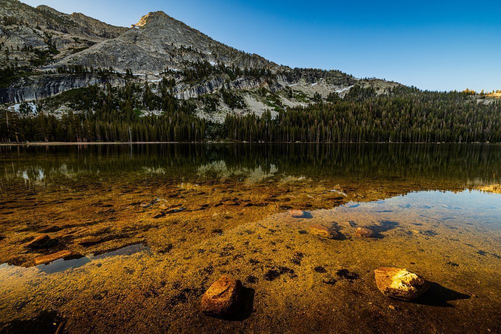 Tenaya Lake Detailed Sunrise Reflection Photography Art | John Lazo Photography