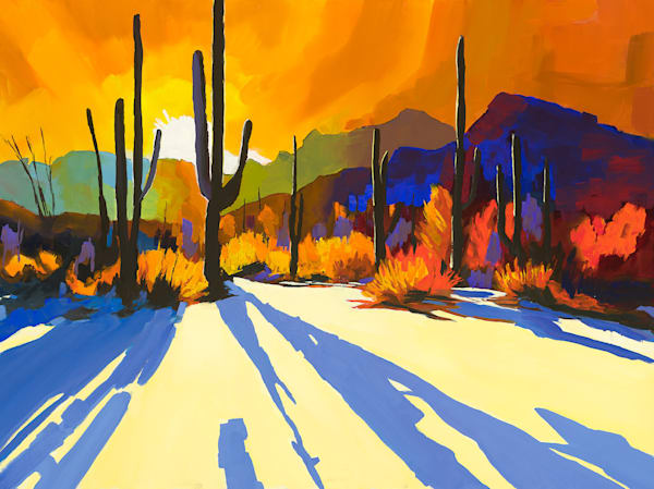 Desert Long Shadow | Dave Fox Studios