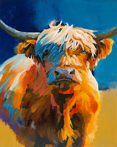 “Bò Ghàidhealach Fhada Fhaltach” Art | Dave Fox Studios