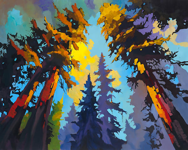 Douglas Fir Art | Dave Fox Studios
