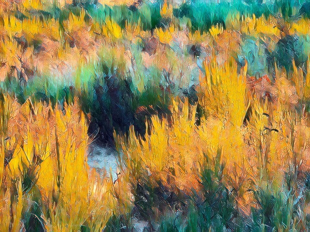 Autumn Grasses Art | Dave Fox Studios