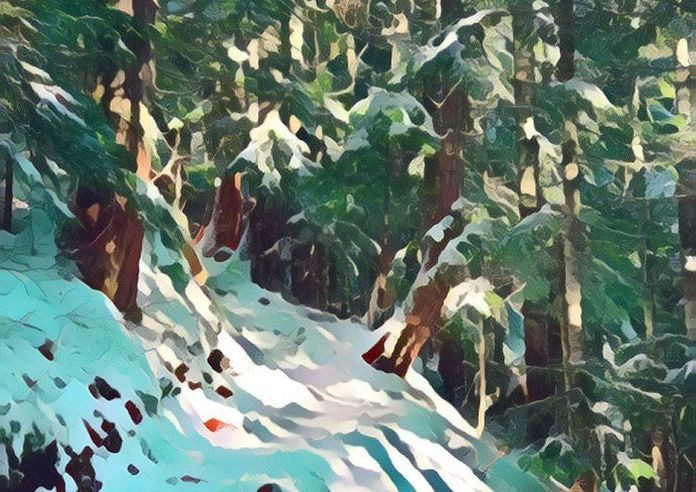 Edited in Prisma app with Frangipani