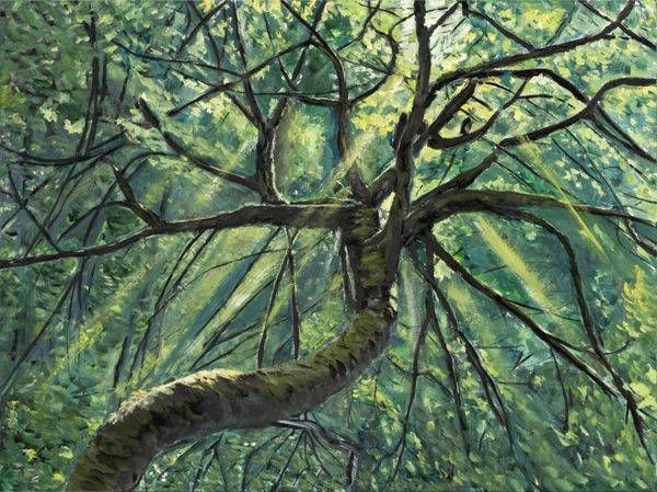 Crestwood Morning Art | Dave Fox Studios