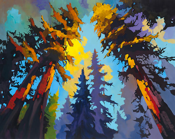 Douglas Fir Art | Dave Fox Studios