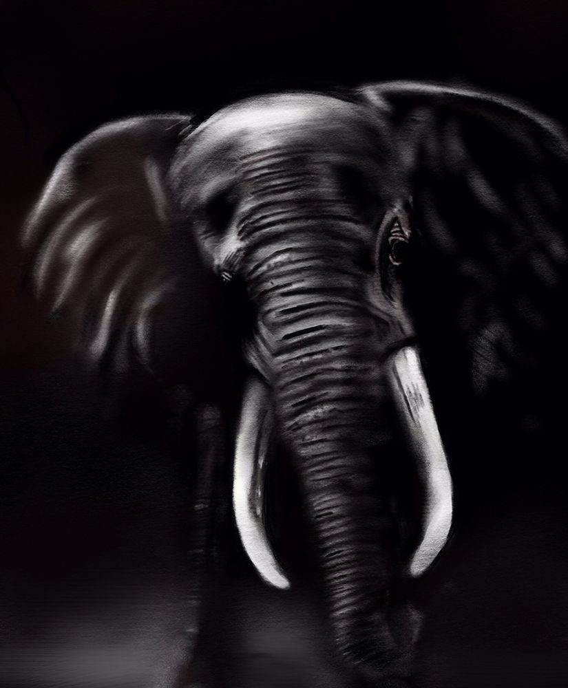 Elephant Art | Dave Fox Studios