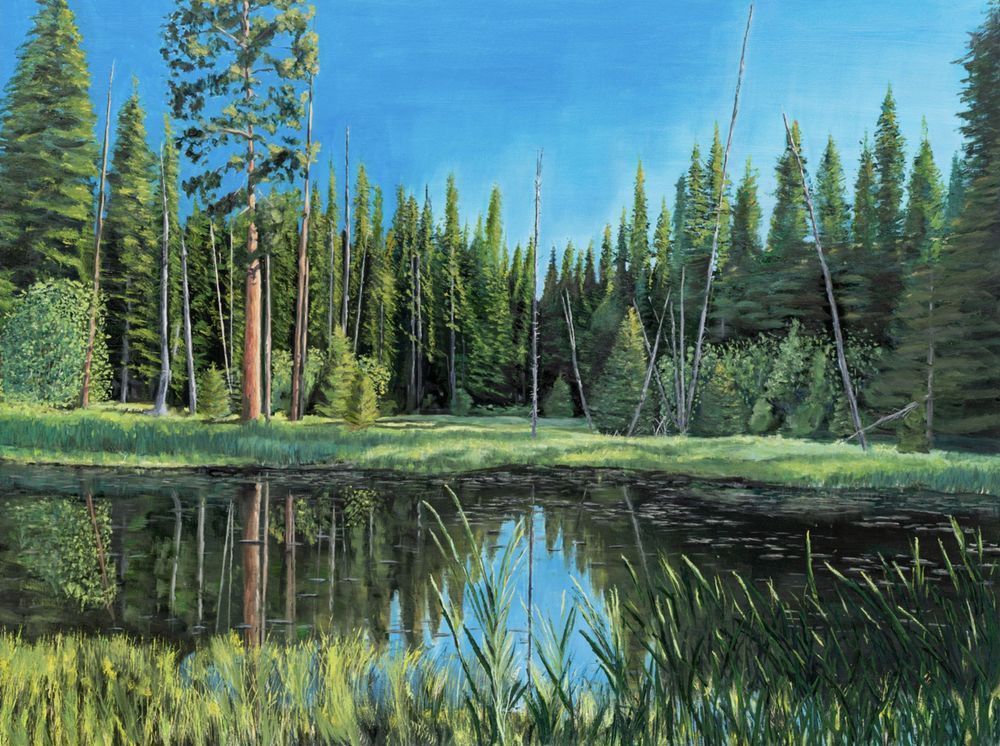 Lily Pond 2 Art | Dave Fox Studios