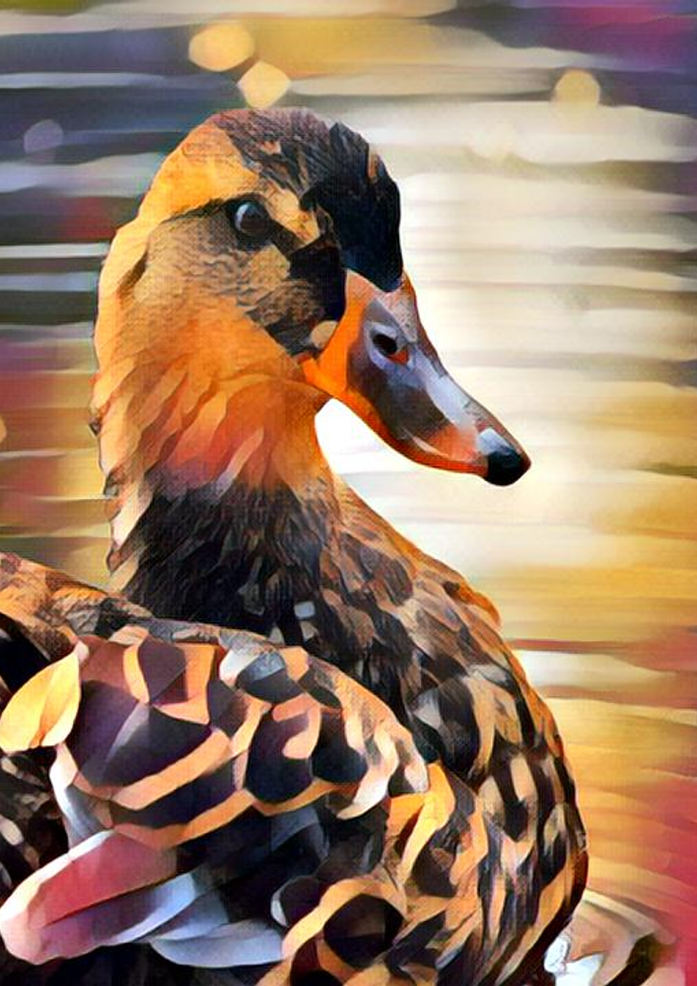 Duck Fall Colors Art | Dave Fox Studios