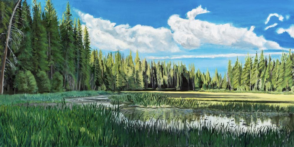 Ponderosa State Park Art | Dave Fox Studios