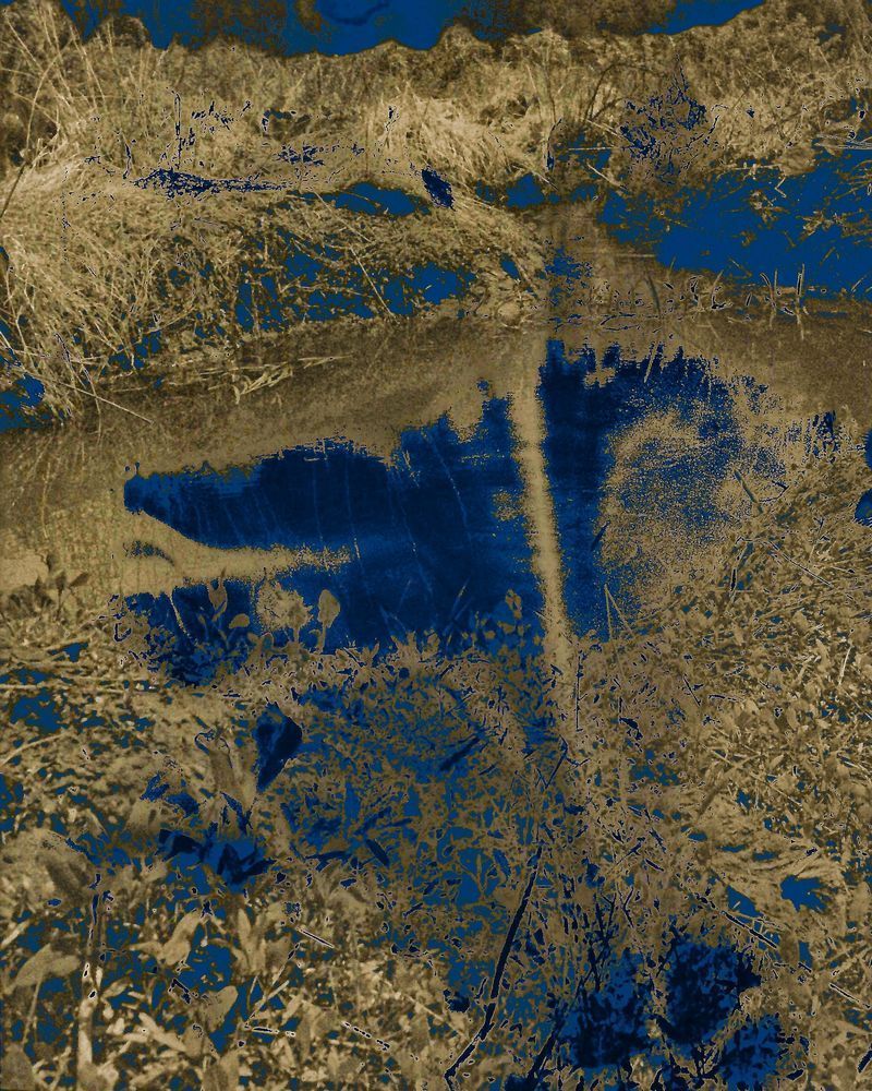 Chesapeake Headwaters Photography Art | Steve Rizzi Photography