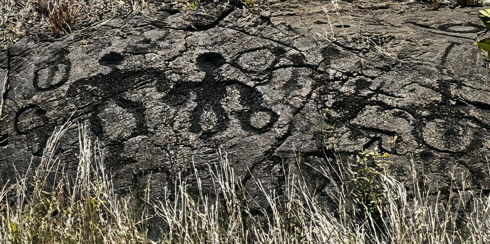 Big Game Hunt Photography Art | Steve Rizzi Photography