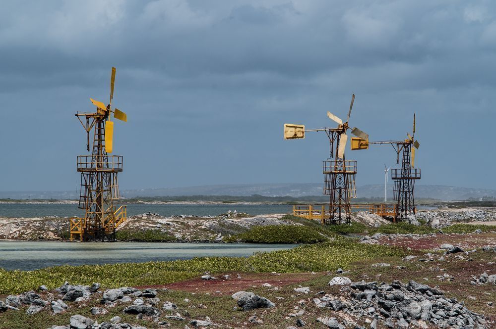 Coastal Windmills Photography Art | Steve Rizzi Photography