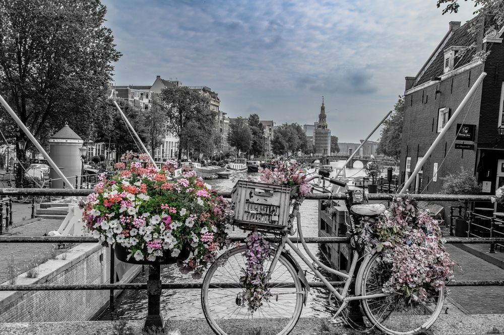 Dutch Bike Photography Art | Steve Rizzi Photography
