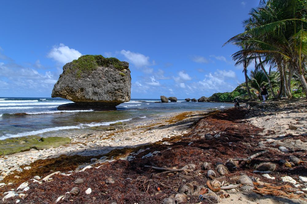 Bathsheba Beach Photography Art | Steve Rizzi Photography