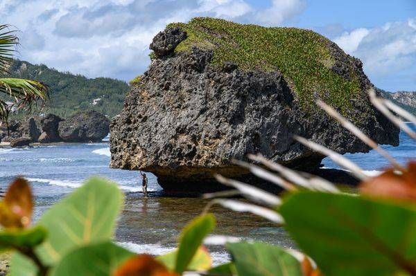 Coastal Monolith