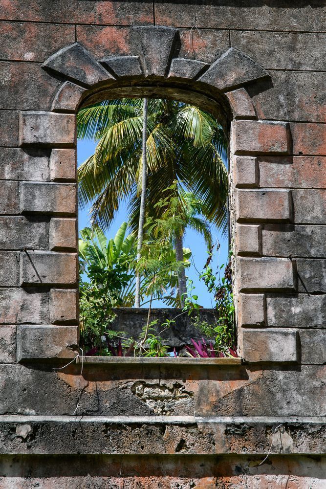 Tropical Frame Photography Art | Steve Rizzi Photography