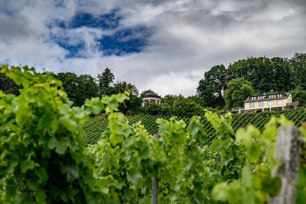 D78 9960 Photography Art | Steve Rizzi Photography
