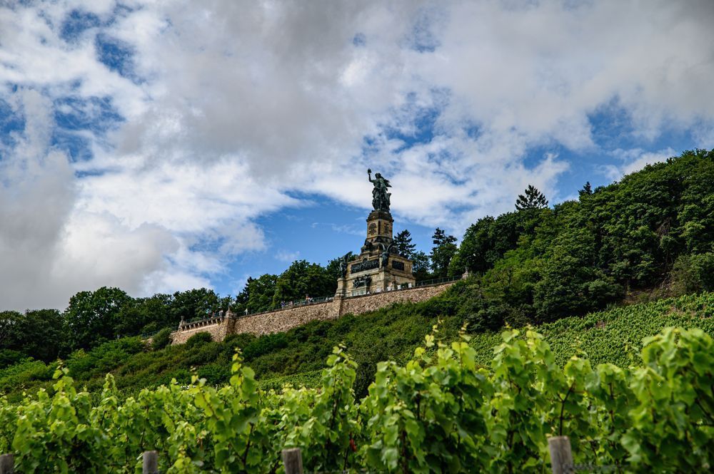 D78 9961 Photography Art | Steve Rizzi Photography