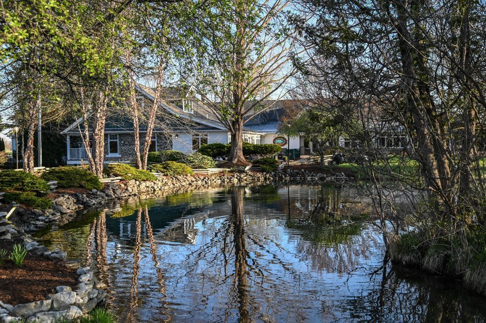 Tranquil Reflections Photography Art | Steve Rizzi Photography