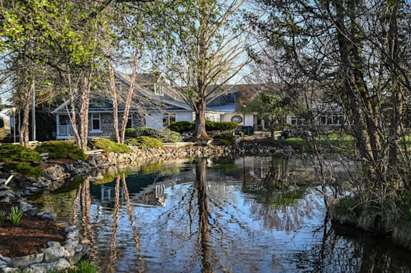 Tranquil Reflections