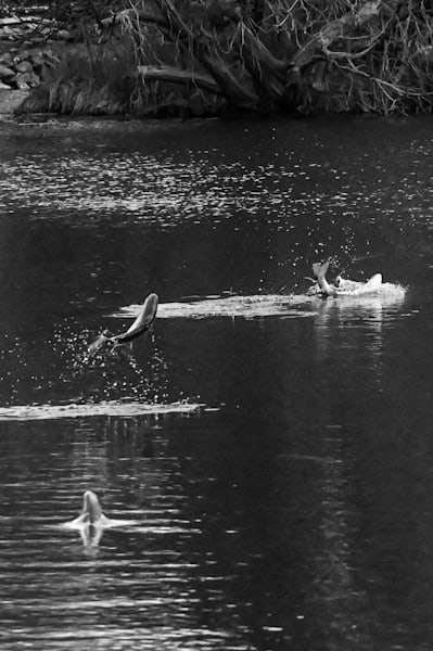 Surface Breaks