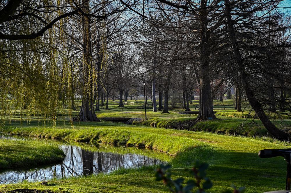 Spring Green Photography Art | Steve Rizzi Photography
