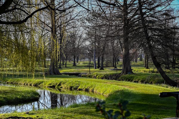 Spring Green