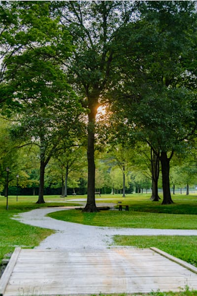 Sunlit Pathway