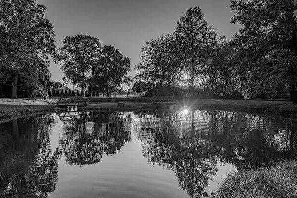 Fire in the Pond - Monochrome