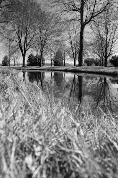 Reflections in Monochrome