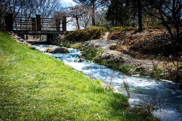 Whispering Stream