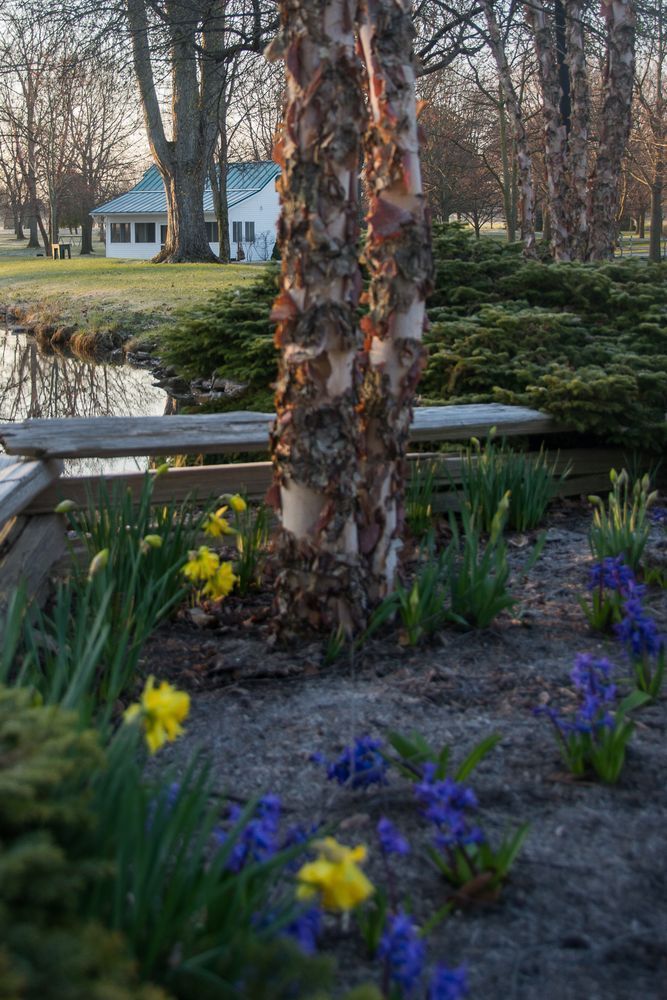 D71 6169 Photography Art | Steve Rizzi Photography