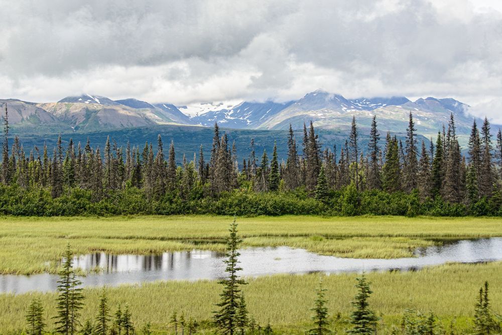 Alaskan Tundra Reflection Photography Art | Steve Rizzi Photography