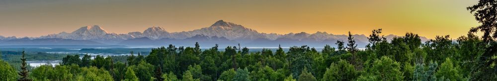 Denali Panorama