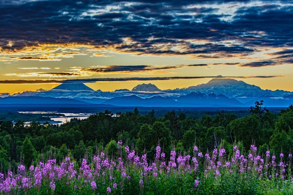 Mountain Horizon Bloom Photography Art | Steve Rizzi Photography