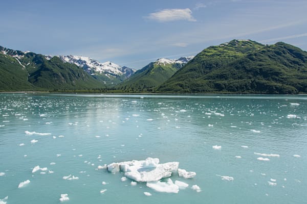 Disenchantment Bay