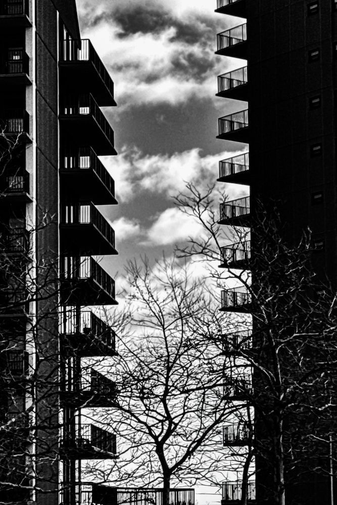 Img 9553 Photography Art | Steve Rizzi Photography