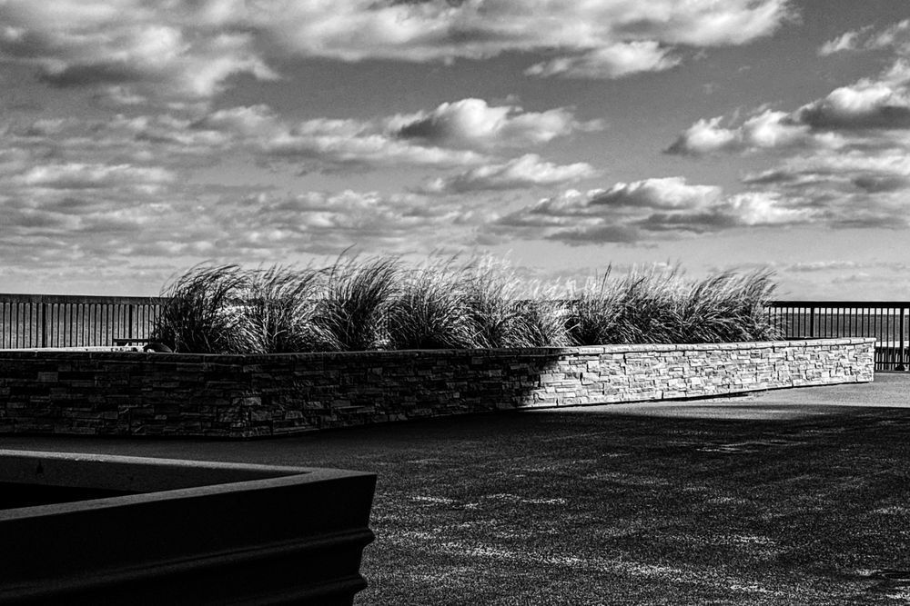 Img 9549 Photography Art | Steve Rizzi Photography