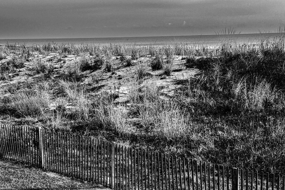 Img 9580 Photography Art | Steve Rizzi Photography