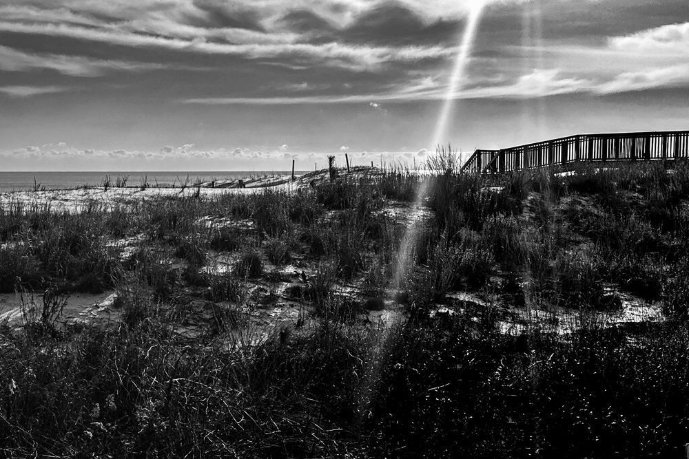 Img 9587 Photography Art | Steve Rizzi Photography