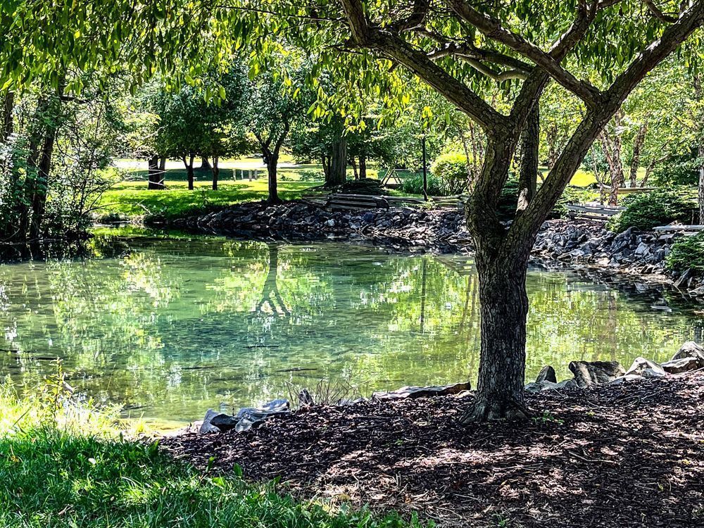 Ghostly Reflections Photography Art | Steve Rizzi Photography