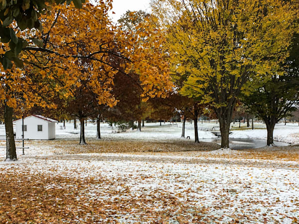 Autumn's First Snow