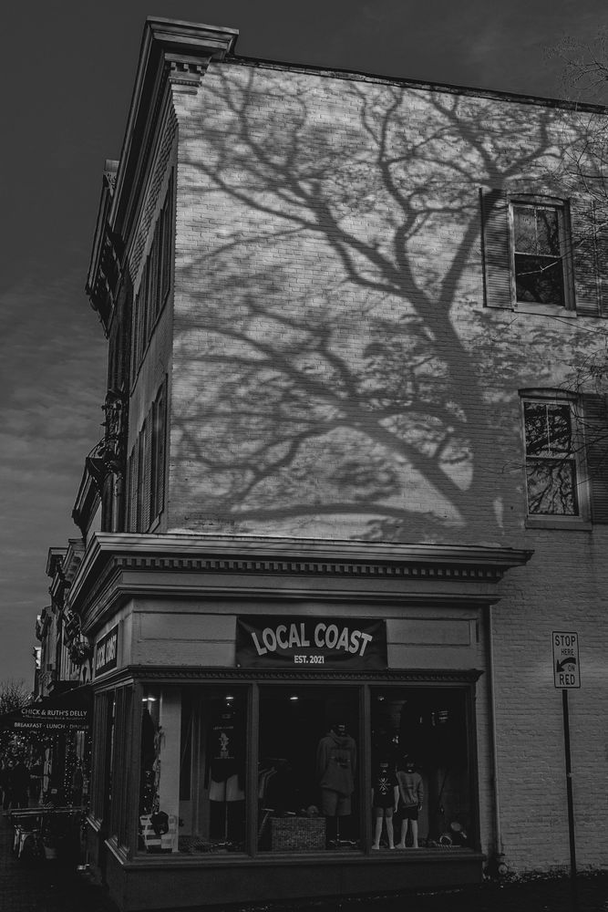 Zfc 0452 Photography Art | Steve Rizzi Photography