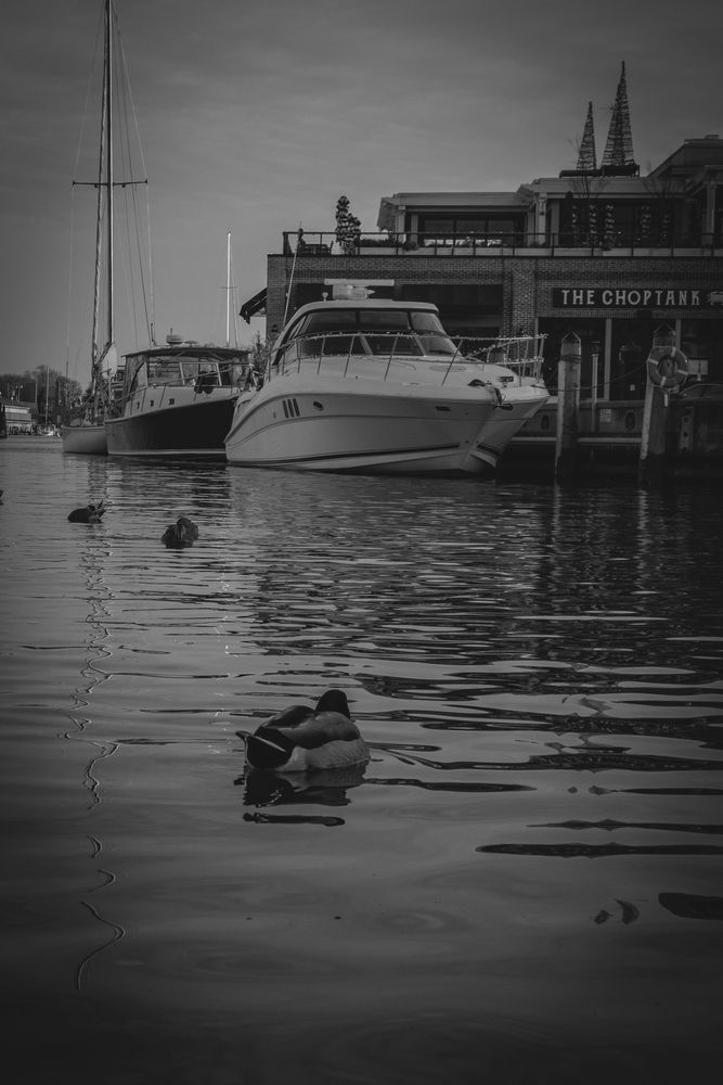 Zfc 0463 Photography Art | Steve Rizzi Photography