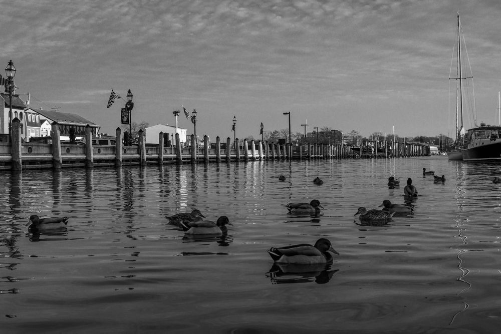 Zfc 0462 Photography Art | Steve Rizzi Photography