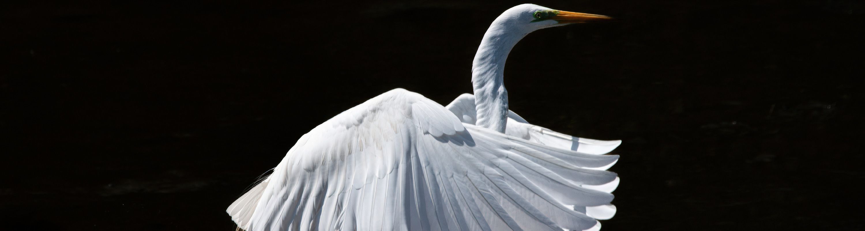 
        <div class='title'>
          editedMelissa LeMaire Photography (2)
        </div>
       