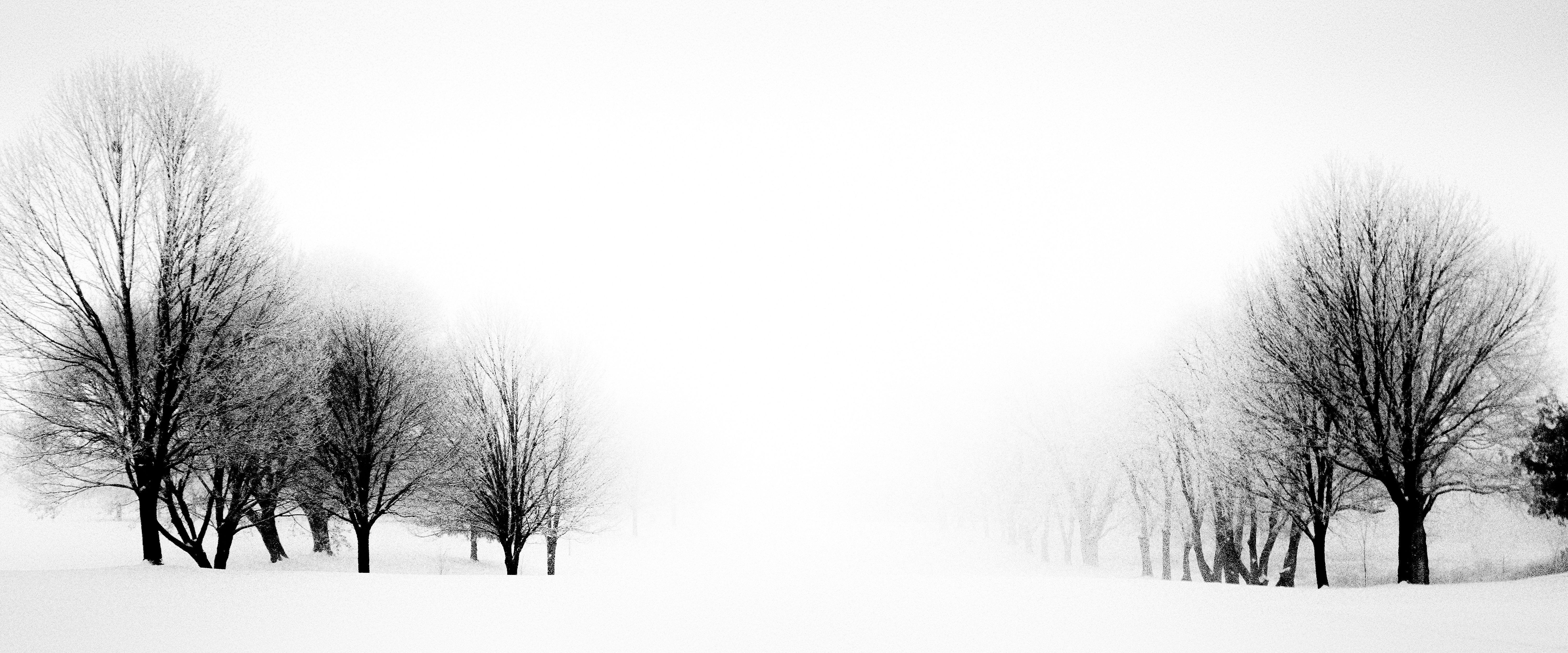 
        <div class='title'>
          DSCF2544 Edit 2 Edit Edit Edit Edit 2 Edit 2
        </div>
       