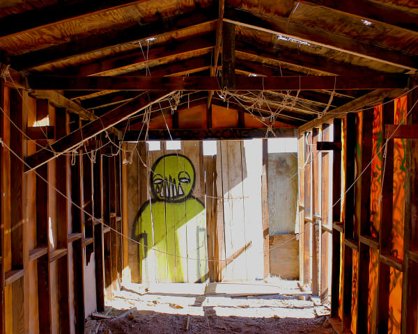 Friendly Green Monster Photography Art | Xan Blood Walker Fine Art Photography